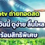 บอลสดวันนี้ pptv